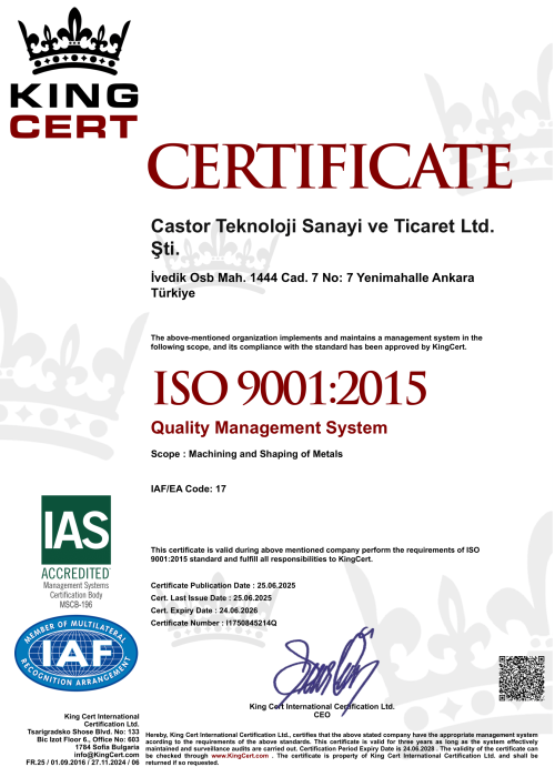 Castor Teknoloji 9001 2026-1
